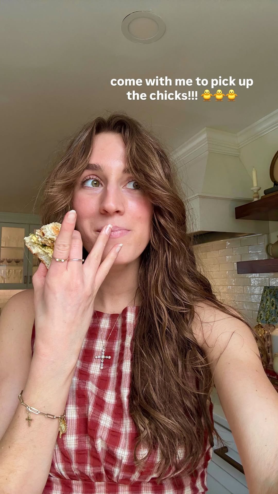 brightmomentco 게시물 이미지: and the chicken journey begins!! what should...