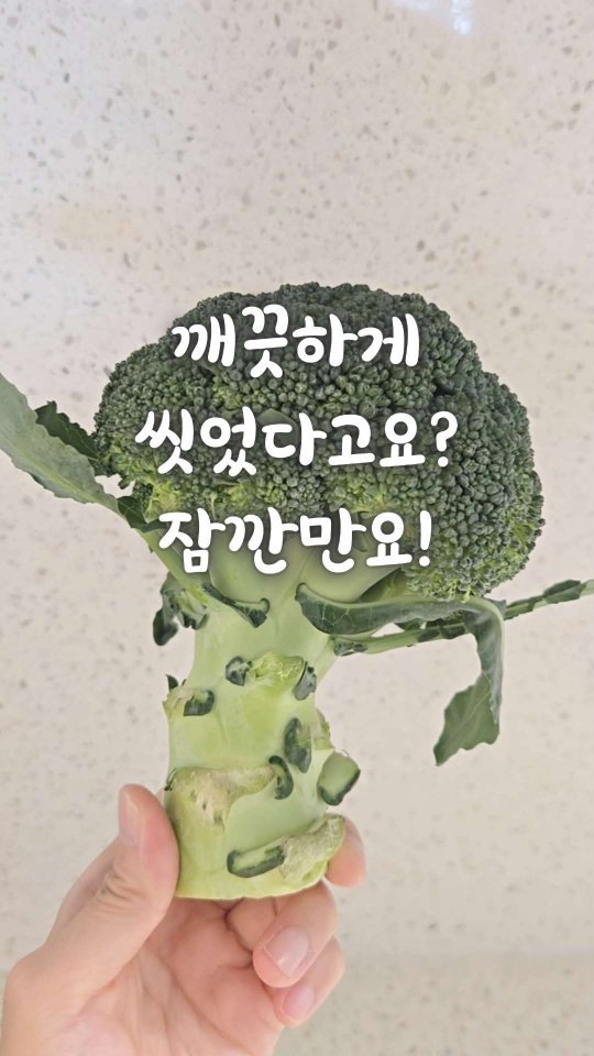 bringhome__ 게시물 이미지: 브로콜리, 깨끗하게 씻는 거 정말 어렵죠?
저도 예전에 세척하다가 벌레를 보고...
