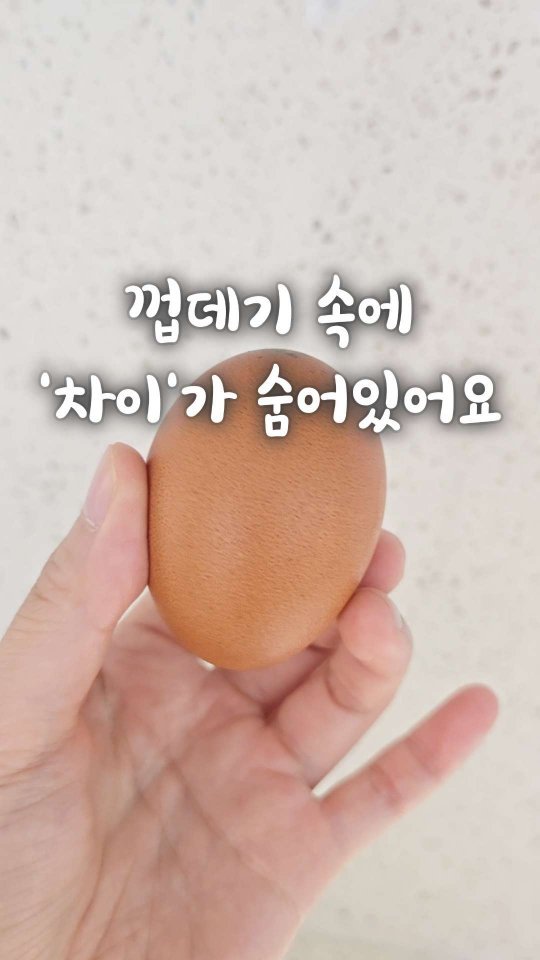 bringhome__ 게시물 이미지: 똑같이 생겼다고 다 같은 계란일까요?🤔
저도 예전에는 그냥 아무거나 끌리는 대로...