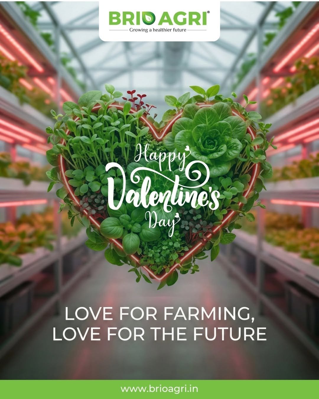 briohydroponics 게시물 이미지: Cultivating passion is what we do best. This...
