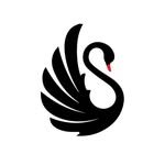 blackswan.businesssetup 프로필 사진