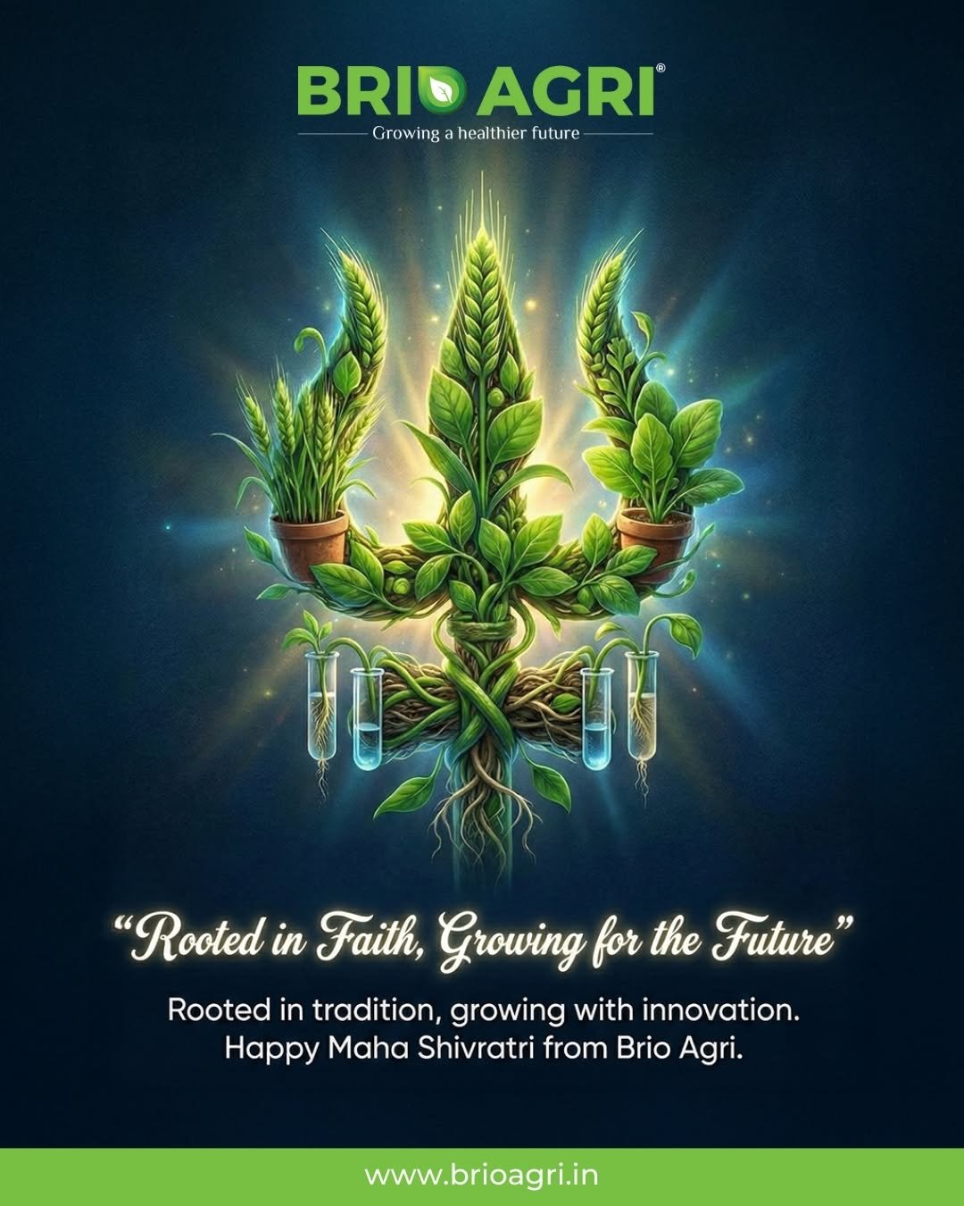 briohydroponics 게시물 이미지: This Maha Shivratri, we celebrate the perfect...