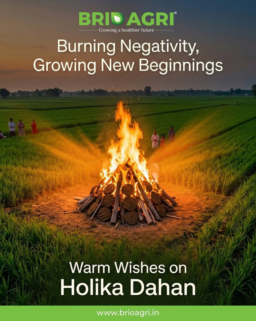 briohydroponics 게시물 이미지: 🔥 Burning Negativity, Growing New Beginnings...
