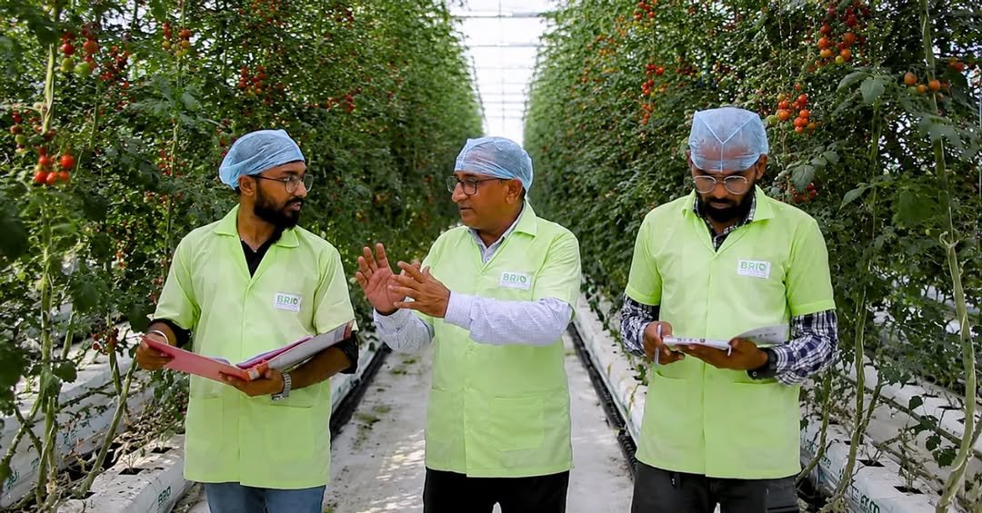 briohydroponics 게시물 이미지: 5X more crops, 90% less water - the future of...