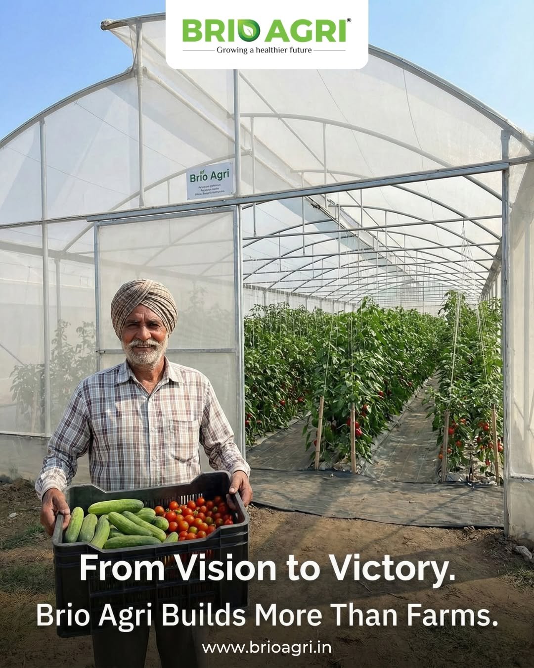 briohydroponics 게시물 이미지: Behind every harvest is a story of dedication...