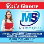 msoverseas696 프로필 사진