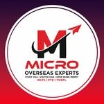 microverseasexperts 프로필 사진