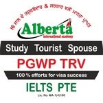 alberta.international 프로필 사진