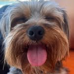 sage_burke 프로필 사진