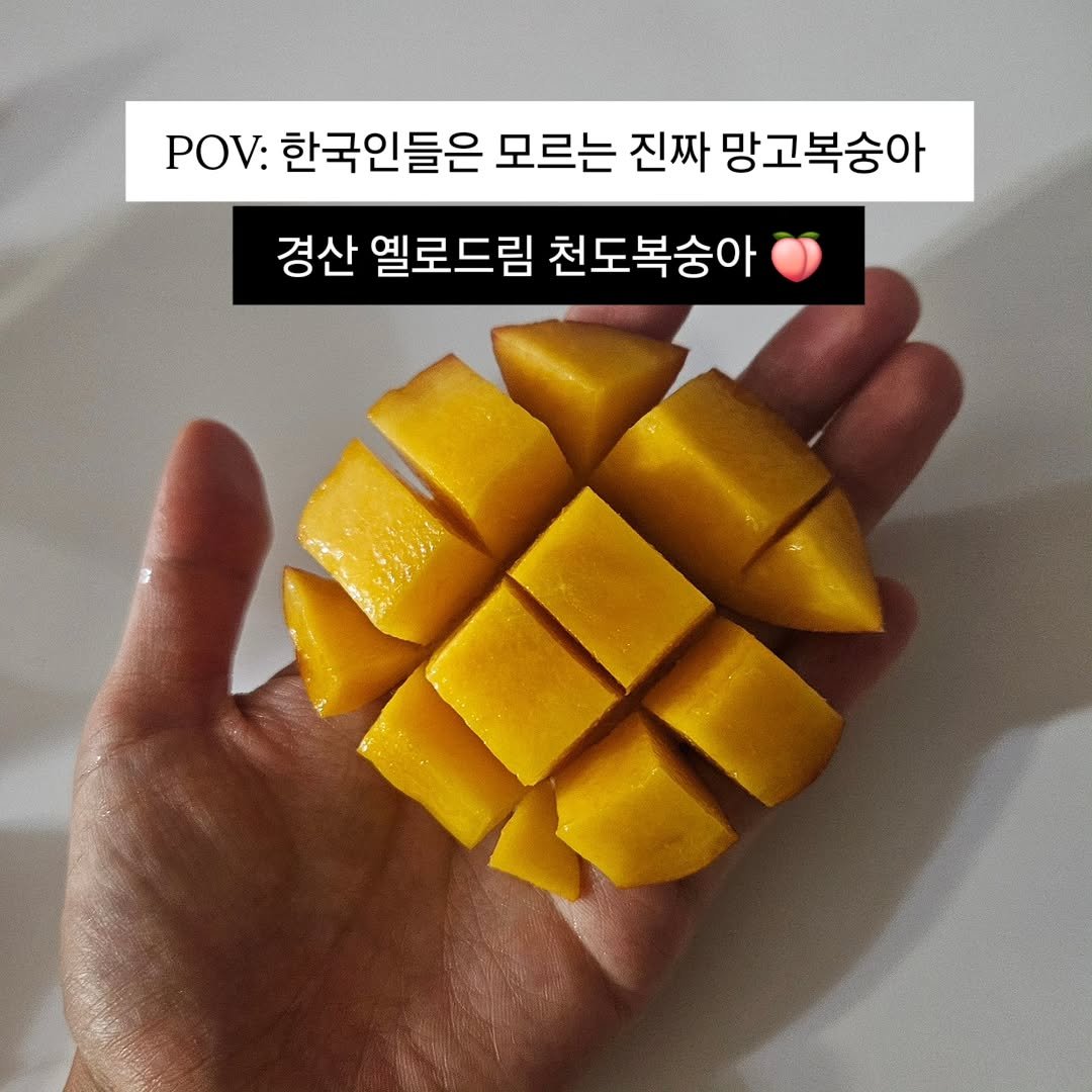 Photo by 🍑  형제청과 🍑  상위1%과일 • 납작복숭아  • 명장복숭아  •  신품종복숭아 on April 27, 2026. May be an image of mango and text that says 'POV: 한국인들은 모르는 진짜 망고복숭아 경산 옐로드림 천도복숭아'.