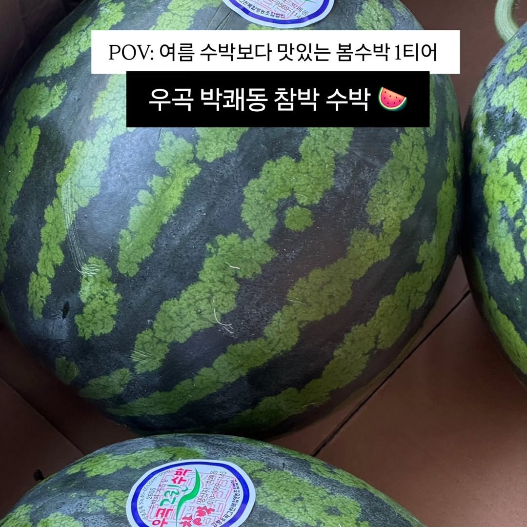 Photo by 🍑  형제청과 🍑  상위1%과일 • 납작복숭아  • 명장복숭아  •  신품종복숭아 on April 27, 2026. May be an image of watermelon, vegetable, melon and text.