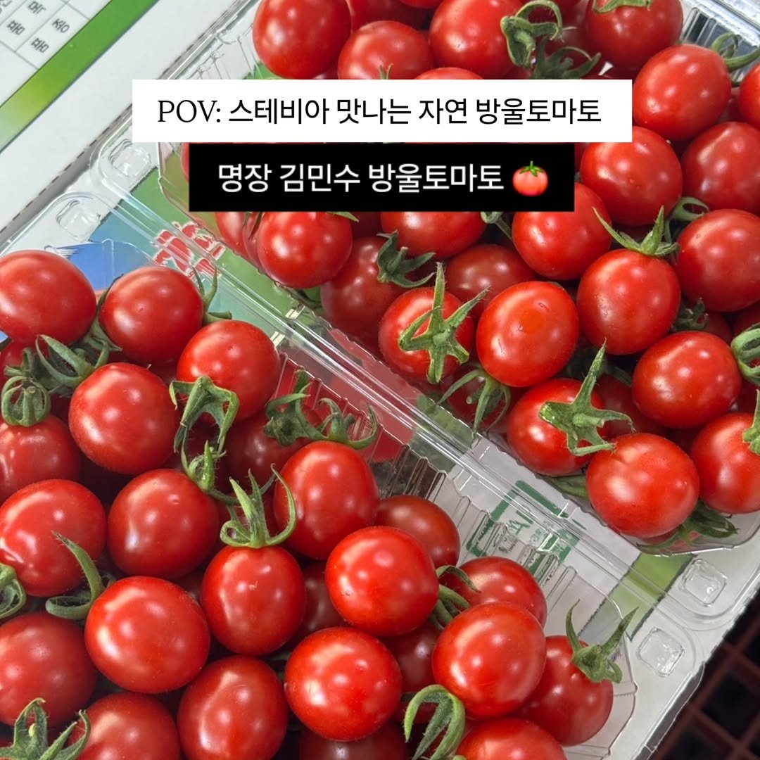 brofruits 게시물 이미지: 몇 년 전 스테비아 토마토 드시고
속이 불편하거나 구토, 설사 증상...