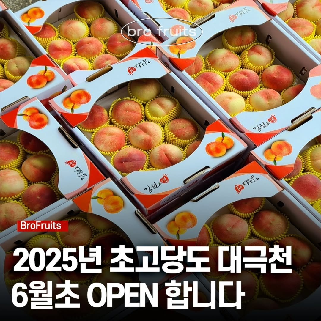 Photo by 🍑 형제청과 🍑 상위1%과일 • 납작복숭아 • 명장복숭아 • 신품종복숭아 on May 13, 2025.