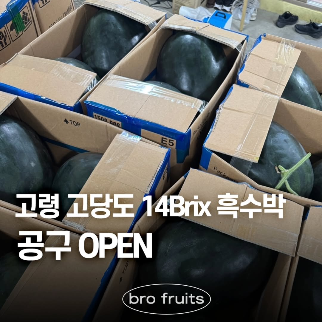 Photo by 🍑 형제청과 🍑 상위1%과일 • 납작복숭아 • 명장복숭아 • 신품종복숭아 on June 09, 2025. May be an image of watermelon, vegetable and melon.
