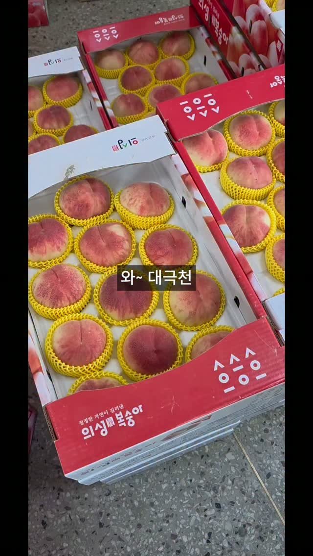 brofruits 게시물 이미지: [대극천] 🍑

원래 대극천은 작은 품종입니다.

그런데 이번에 준비한 농가는
여자...