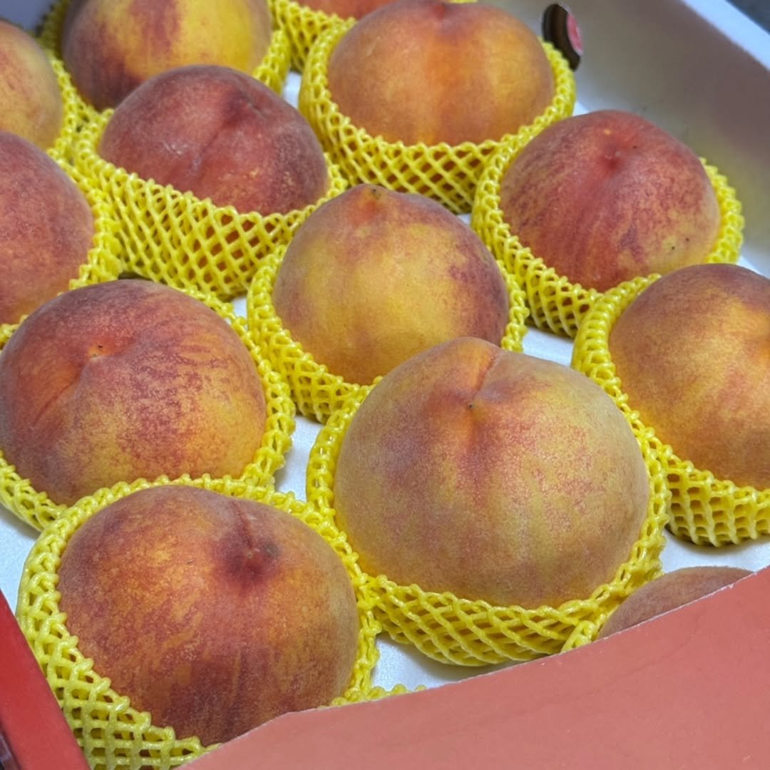Photo by 🍑  형제청과 🍑  상위1%과일 • 납작복숭아  • 명장복숭아  •  신품종복숭아 on July 29, 2025.