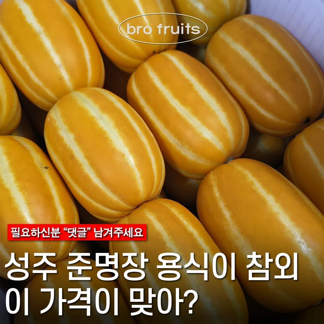 Photo by 🍑  형제청과 🍑  상위1%과일 • 납작복숭아  • 명장복숭아  •  신품종복숭아 on February 22, 2026. May be an image of watermelon, vegetable, melon and text that says 'brofruits bro fruits 필요하신분 "댓글" 남겨주세요 성주 준명장 용식이 참외 이 가격이 맞아?'.