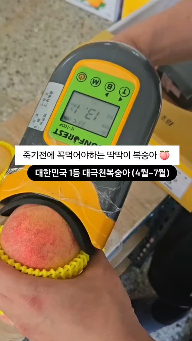 brofruits 게시물 이미지: 필요하신분은 팔로우+좋아요❤️
댓글에 " 대극천복숭아" 남겨주시면
수확시기에...