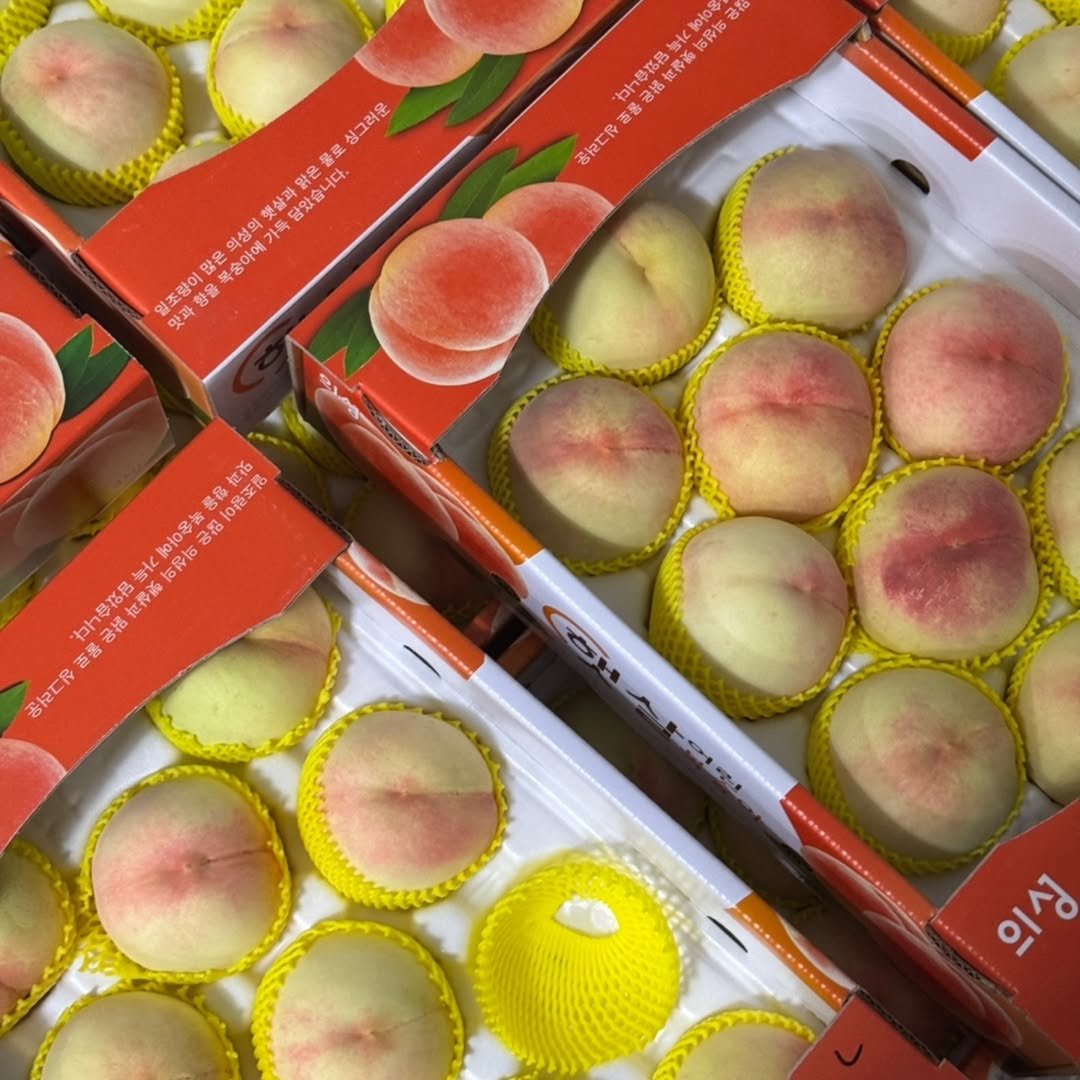 Photo by 🍑  형제청과 🍑  상위1%과일 • 납작복숭아  • 명장복숭아  •  신품종복숭아 on August 20, 2025. May be an image of fruit and text.