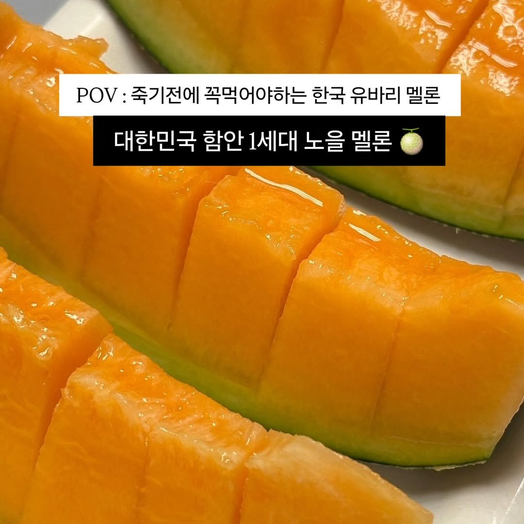 brofruits 게시물 이미지: 필요하신 분은 댓글 남겨주세요 🙌
공구 오픈날 자동으로 예약 DM...