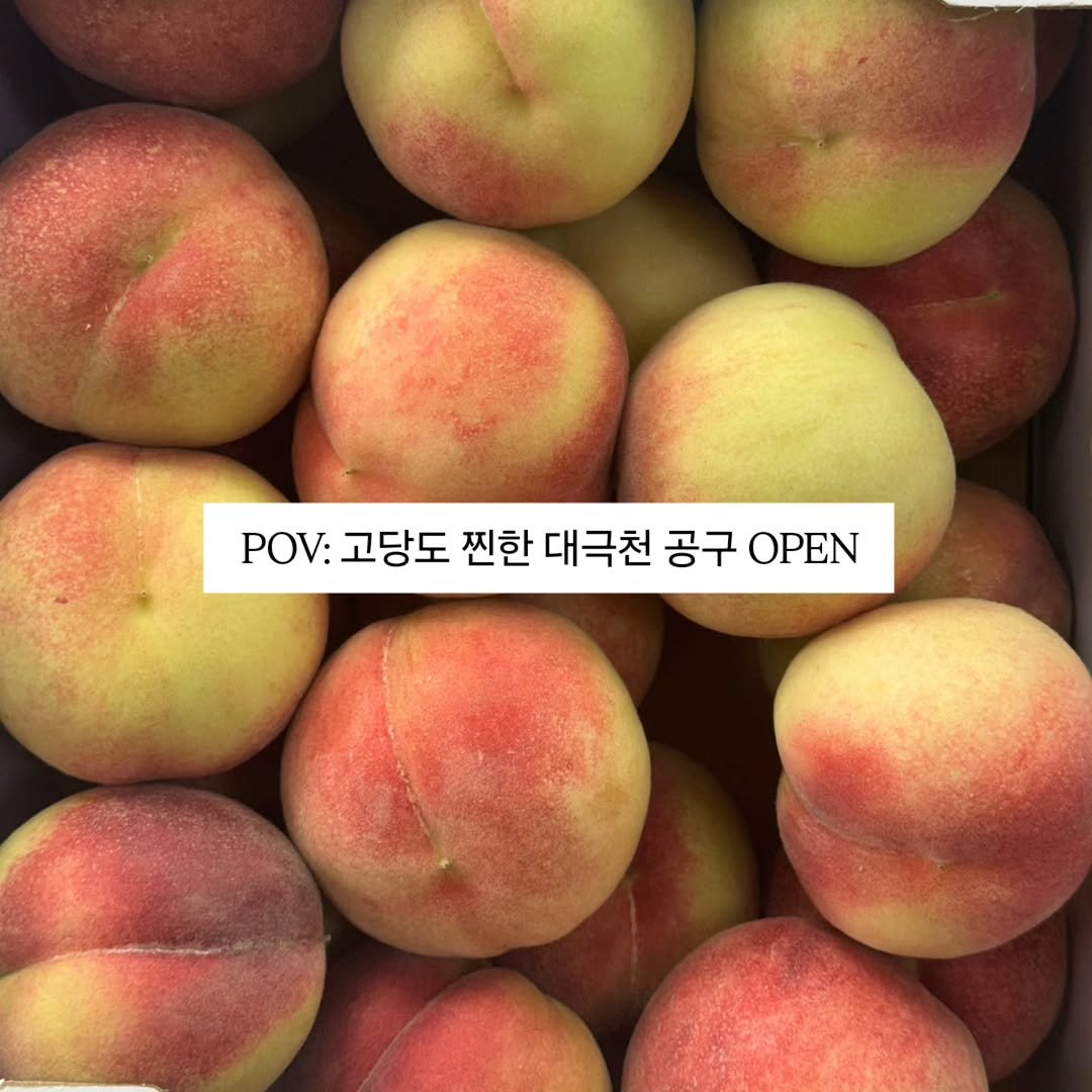 brofruits 게시물 이미지: 필요하신분은 아무이모티콘 남겨주세요!
자세한 정보 보내드리겠습니다!

올해 대극천...