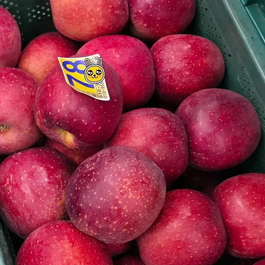 Photo by 🍑  형제청과 🍑  상위1%과일 • 납작복숭아  • 명장복숭아  •  신품종복숭아 on October 22, 2025. May be an image of apple.