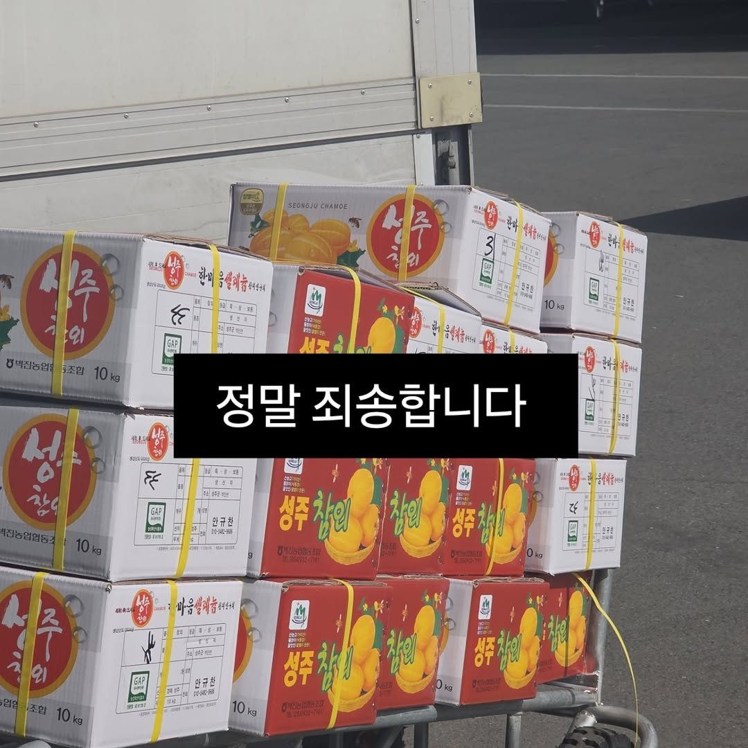 Photo by 🍑  형제청과 🍑  상위1%과일 • 납작복숭아  • 명장복숭아  •  신품종복숭아 on February 23, 2026. May be an image of text.