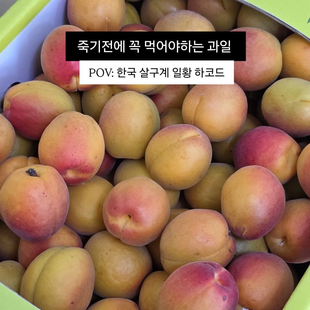 brofruits 게시물 이미지: 필요하신 분은 아무 이모티콘이나 남겨주세요 😊
자세한 상품 내용...