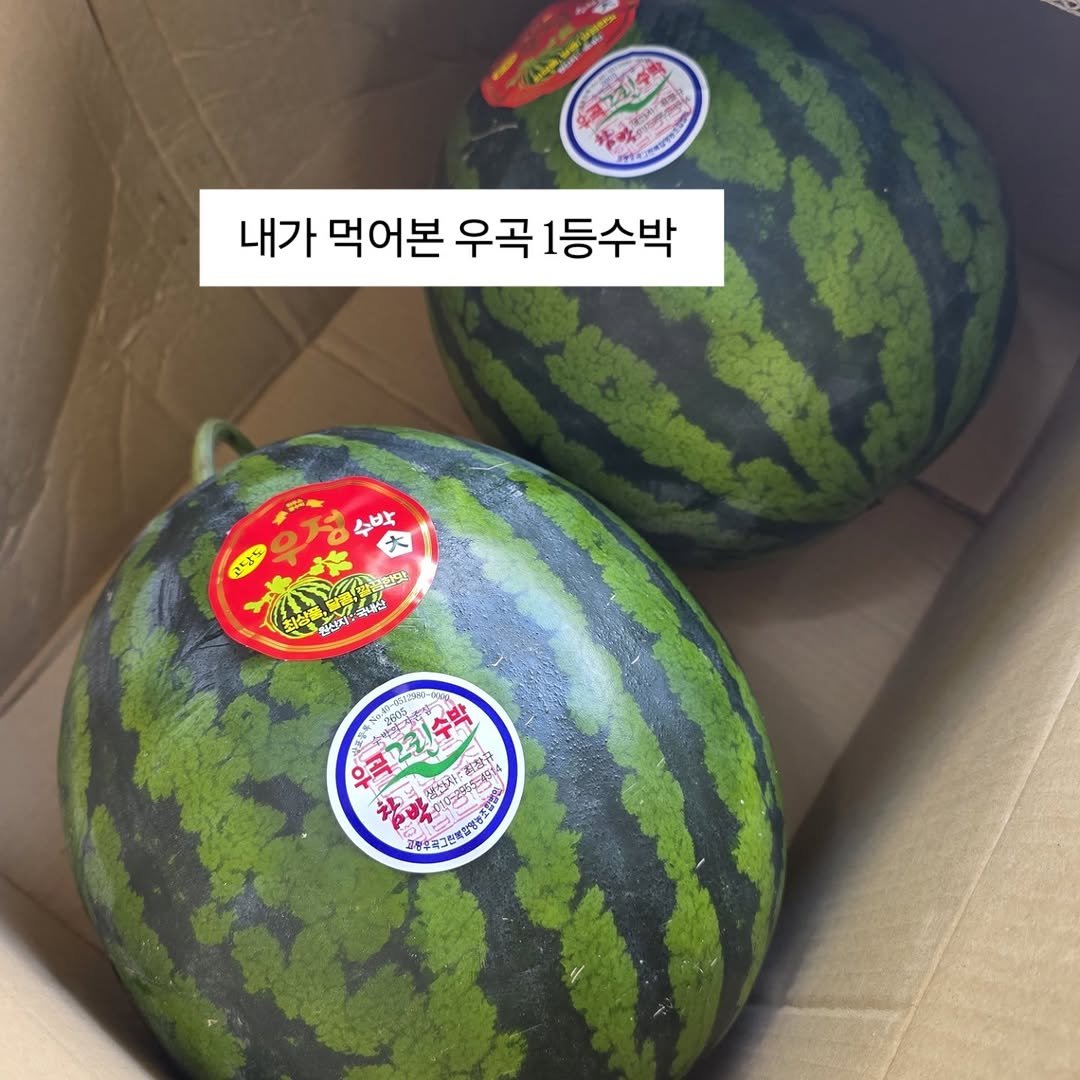 brofruits 게시물 이미지: 필요하신분은 댓글 "우곡우곡" 남겨주세요

김사장입니다,
이번 우곡 깡패수박은
진짜...