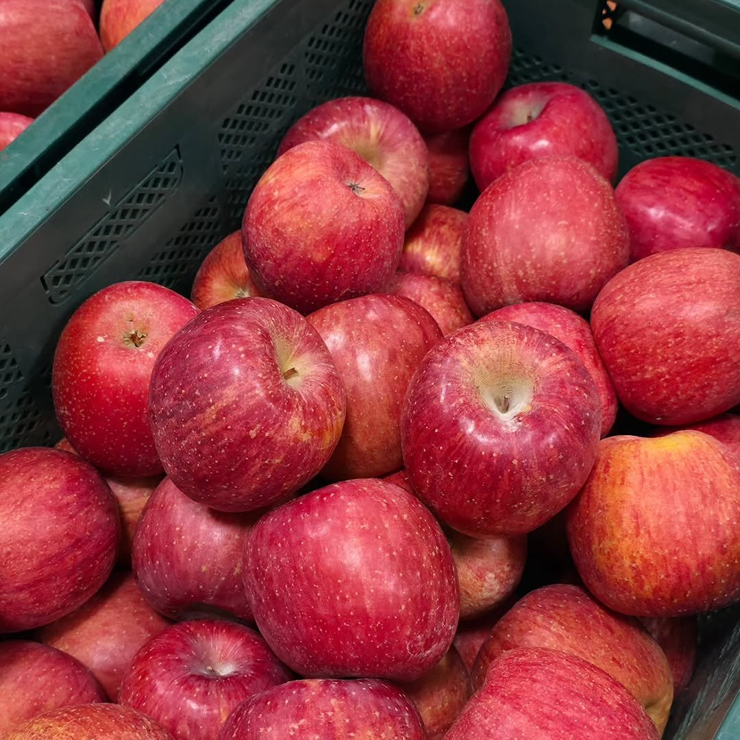 Photo by 🍑  형제청과 🍑  상위1%과일 • 납작복숭아  • 명장복숭아  •  신품종복숭아 on January 20, 2026. May be an image of apple and text.