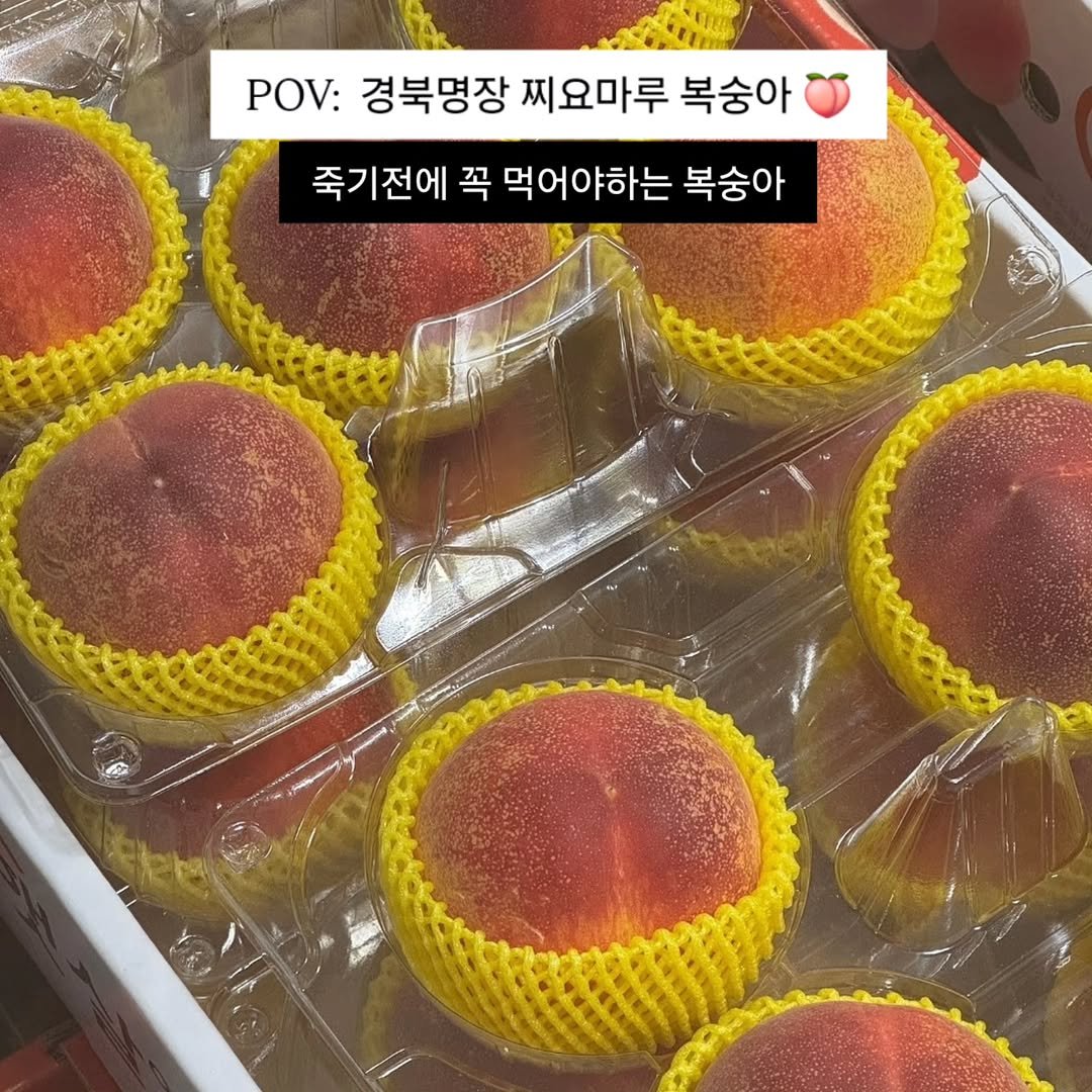 brofruits 게시물 이미지: 이번 주 수요일 수확 예정입니다. 🍑
경북 명장 찌요마루 입니다.

6월 노지...