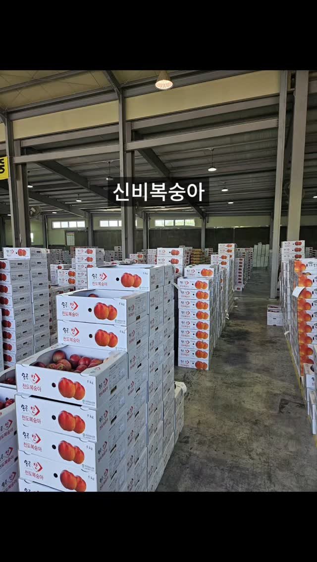 brofruits 게시물 이미지: 댓글에 "신비신비" 남겨주시면 자세한 내용 DM 드리겠습니다.

🍑 괴물...