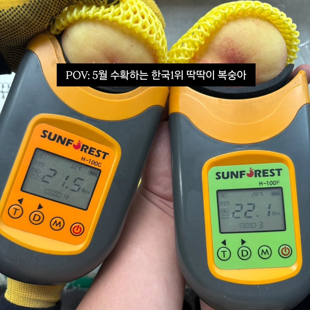 Photo by 🍑  형제청과 🍑  상위1%과일 • 납작복숭아  • 명장복숭아  •  신품종복숭아 on April 16, 2026. May be an image of ‎thermometer, thermostat, timer, air conditioner and ‎text that says '‎POV: POV:5월 5월 수확하는 한국1위 딱딱이 복숭아 SUNFJREST REST SUNF 21.5 H-100c SUNFJREST ŠREST SUNF H-100F (UK 28°C 988° مت 22.1 I 22 Brix L.LI MDDD -‎'‎‎.