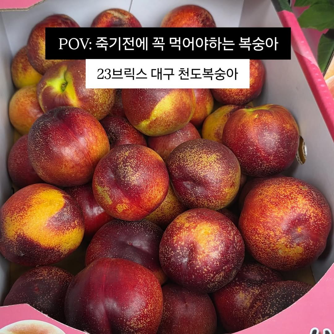 brofruits 게시물 이미지: 죽기전에 꼭 1번 먹어봐야하는데..
물량이 없어요 .. 🥺

평균당도 20브릭스가...