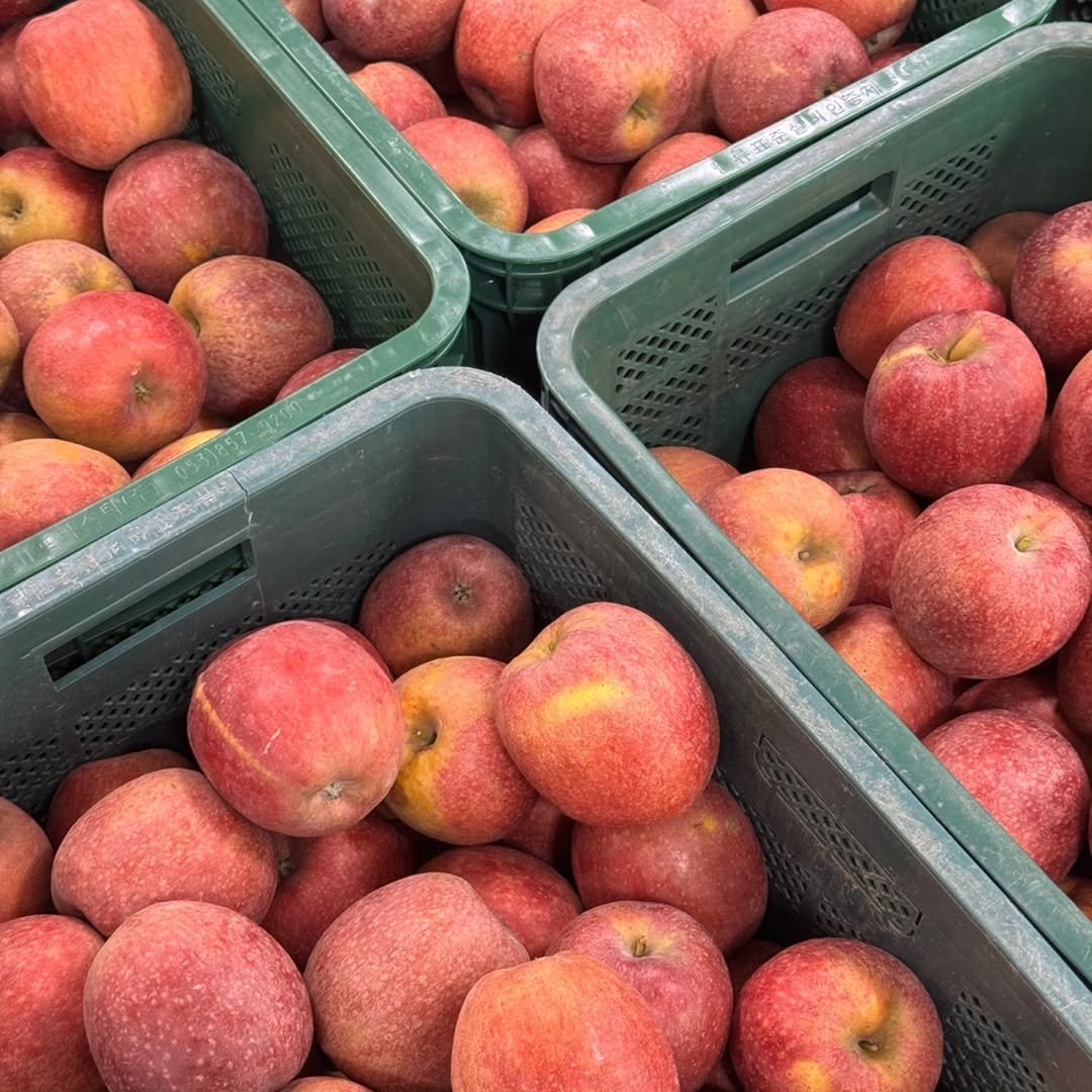 Photo by 🍑  형제청과 🍑  상위1%과일 • 납작복숭아  • 명장복숭아  •  신품종복숭아 on October 13, 2025. May be an image of apple.