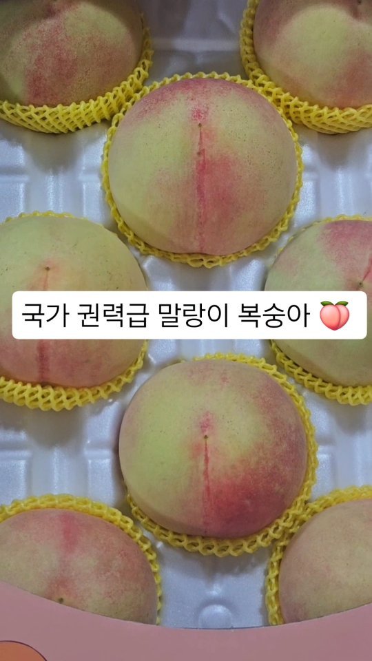 brofruits 게시물 이미지: .
댓글 200명 이상 참여시 신영삼님 복숭아 
물량 확보하면  인스타 공구 간만에...