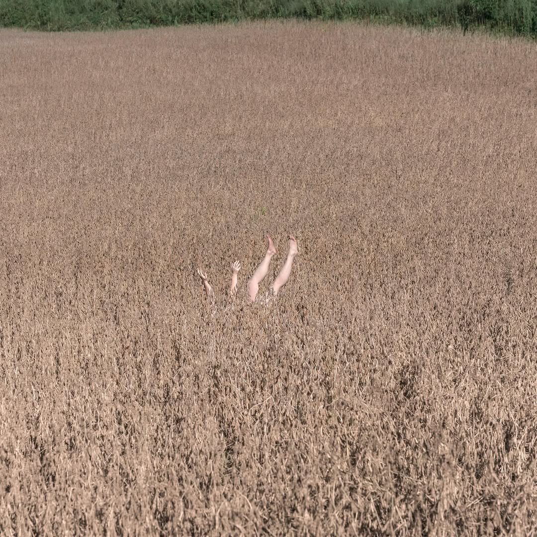 Photo shared by Brooke DiDonato on March 26, 2026 tagging @hlpotes. May be an image of combine, grass and text.