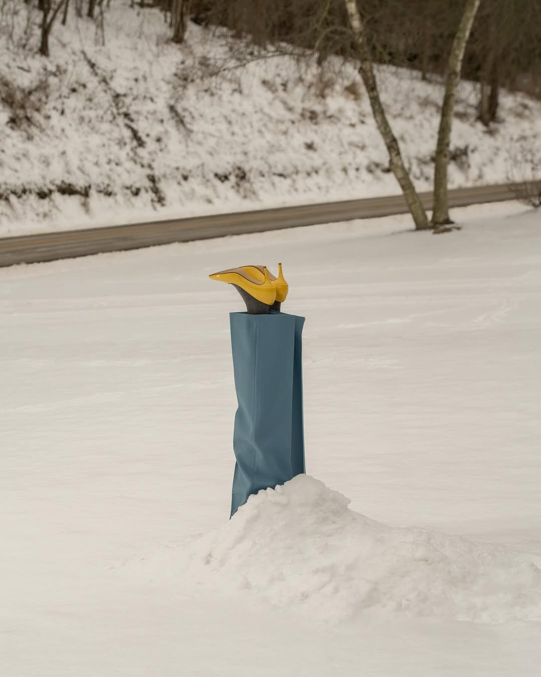 Photo by Brooke DiDonato on January 05, 2026.