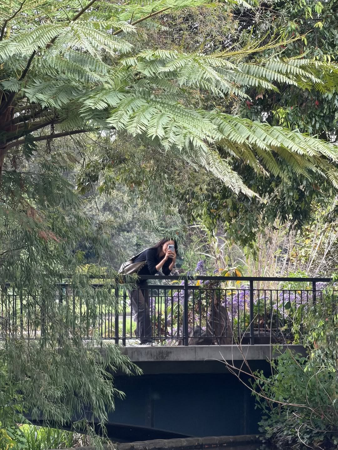 Photo by SINB on November 11, 2025.