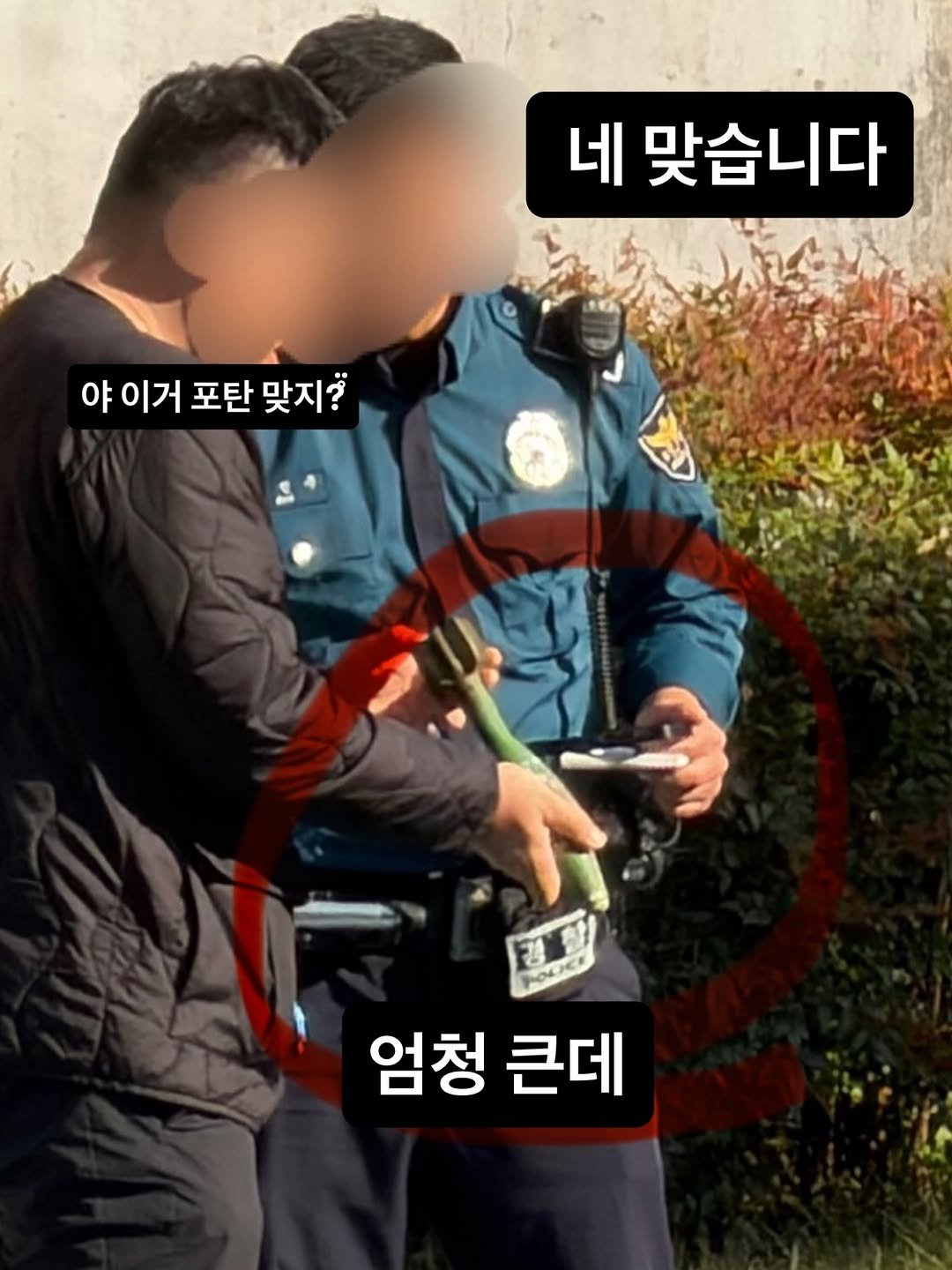Photo by 방금락 백송 대전백송  대전맛집 on November 02, 2025. May be an image of text that says '네 맞습니다 야 이거 포탄 맞지? ሥጃ 엄청 큰데'.