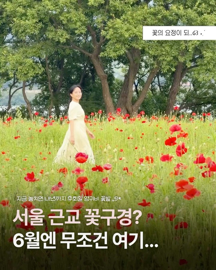 bsjone_ 게시물 이미지: ‼️6월에 안 가면 내년까지 후회한다
서울 근교 빨간 꽃밭 코스🌺

👉🏻 댓글로...
