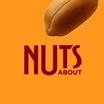 nutsabout_korea 프로필 사진