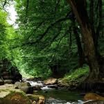 umila_healing 프로필 사진