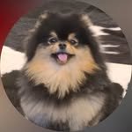 1111taehyung 프로필 사진
