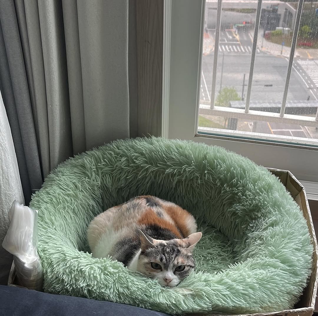 Photo by 윤현식 on May 04, 2023.