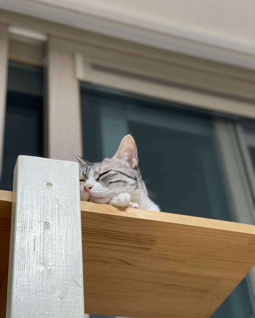 Photo by 윤현식 on November 15, 2022.