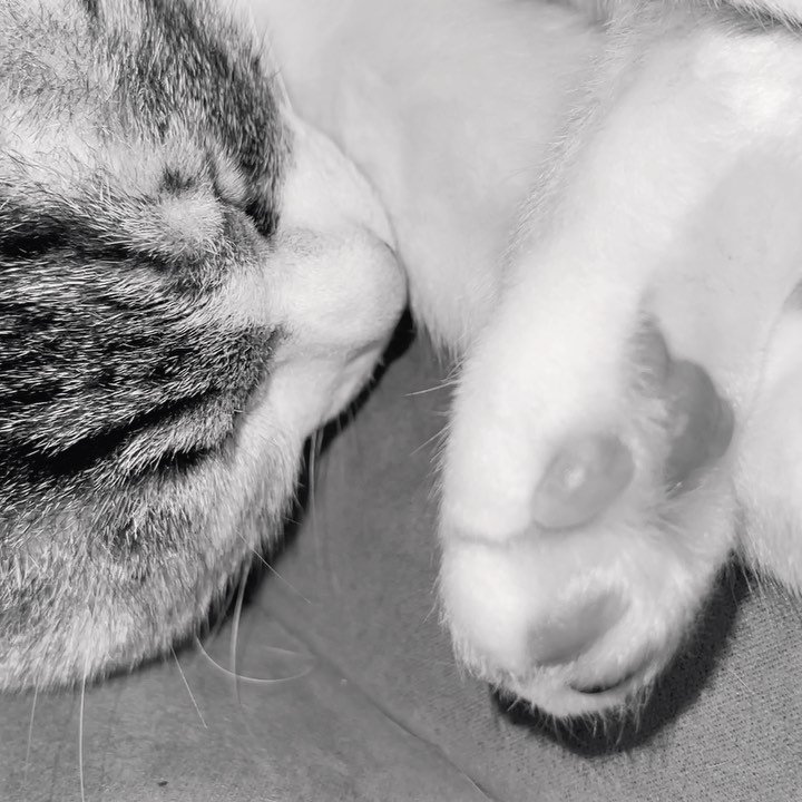 bu_tree 게시물 이미지: 