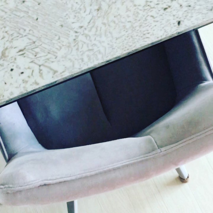 bu_tree 게시물 이미지: #いきなり猫 #猫🐱が好き