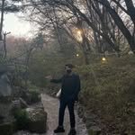 bu_tree 인스타그램 프로필 사진