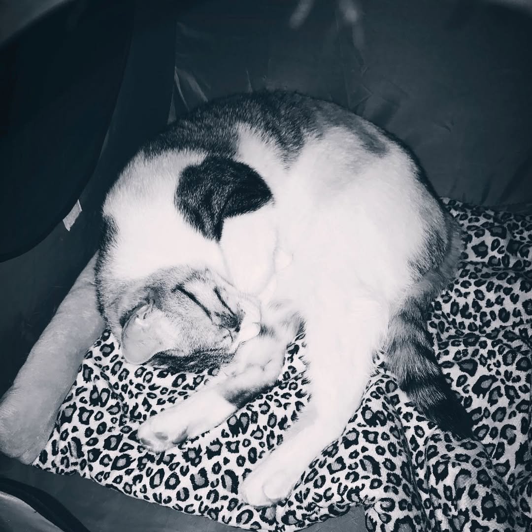 Photo by 윤현식 on December 27, 2020.